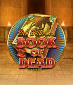 Enter the thrilling world of Book of Dead by Play'n GO, featuring vivid graphics of Rich Wilde's journey through ancient Egyptian tombs and artifacts. Find lost riches with exciting mechanics like free spins, expanding icons, and a gamble option. Ideal for those seeking adventure with a desire for thrilling discoveries.